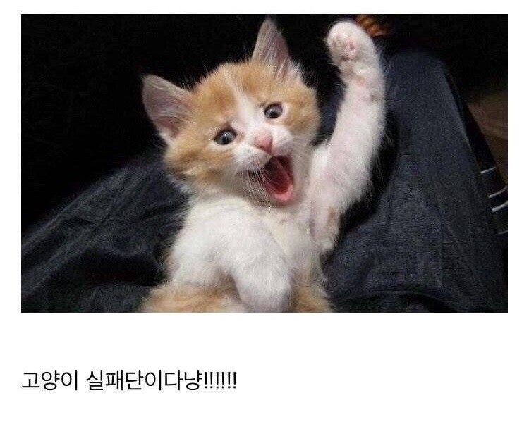 KakaoTalk_20190611_152001656.jpg