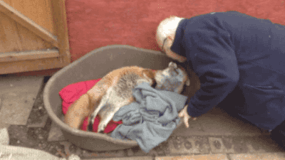KakaoTalk_20210707_111747706_04.gif