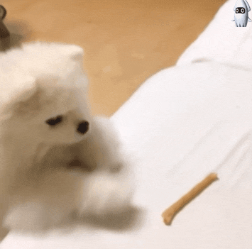 KakaoTalk_20170426_003251546.gif