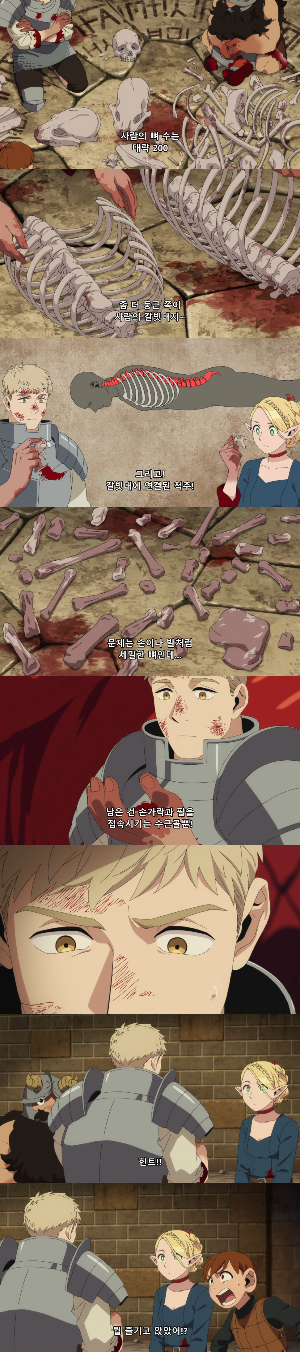 223.jpg