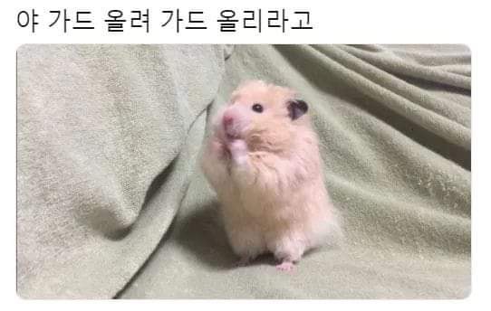 가드 올려.jpg