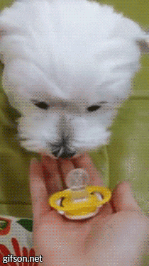 527E9D3F-0887-4E3E-B6C5-3F6D98EEFB1C.gif : 더운데 춥네