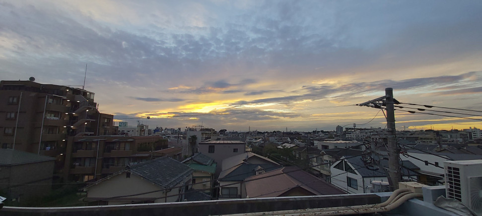 20221008_171009.jpg : 아름다워 20221008_171009.jpg : 아름다워