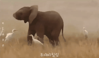 1672282810170.gif : 네끼리 1672282810170.gif : 네끼리