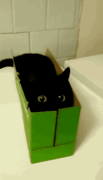 1585461485.gif : 쉬야마려 1585461485.gif : 쉬야마려