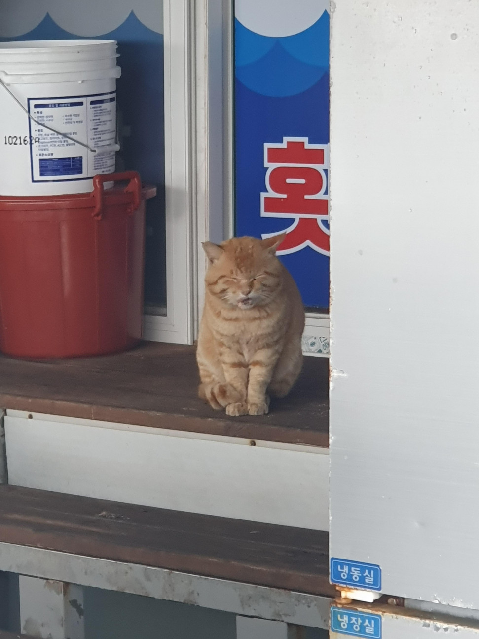 20240329_173140.jpg : 어제 거제도 다녀옴 20240329_173140.jpg : 어제 거제도 다녀옴