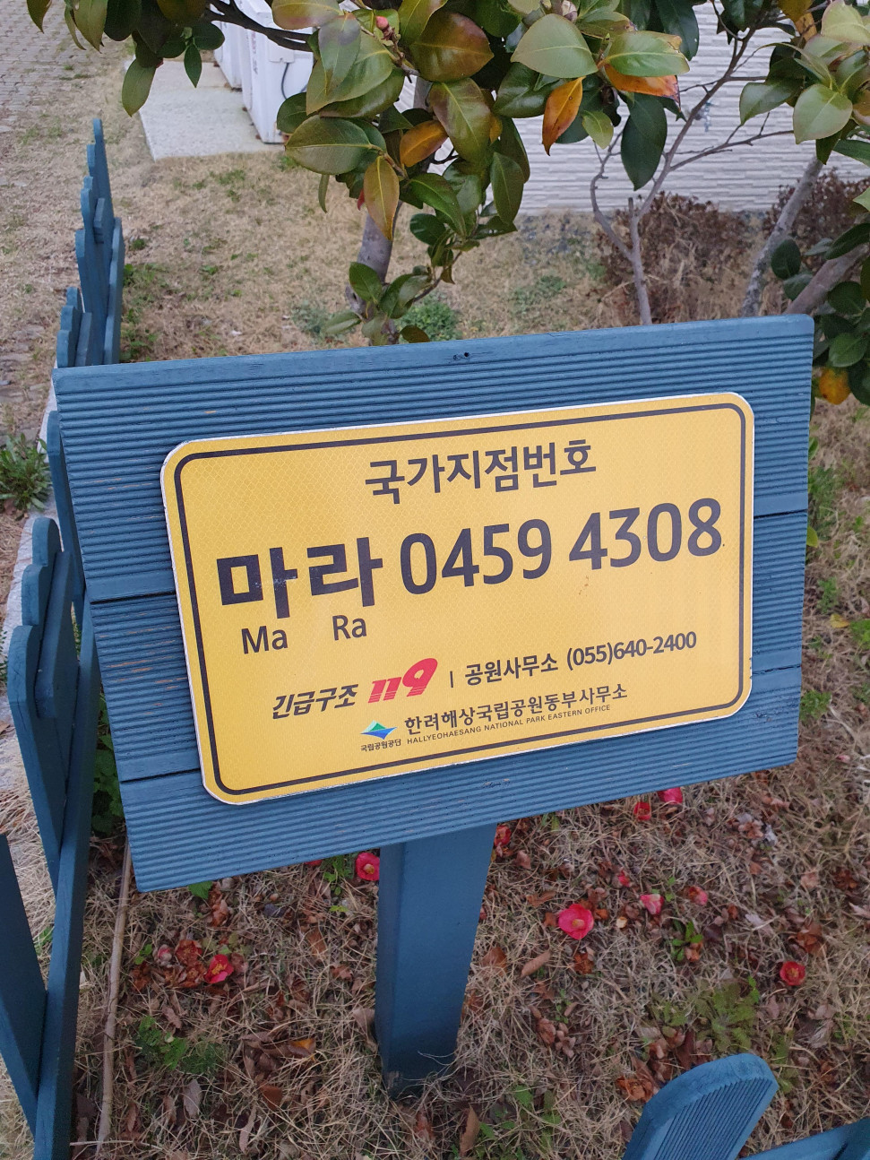 20240329_173425.jpg : 어제 거제도 다녀옴 20240329_173425.jpg : 어제 거제도 다녀옴