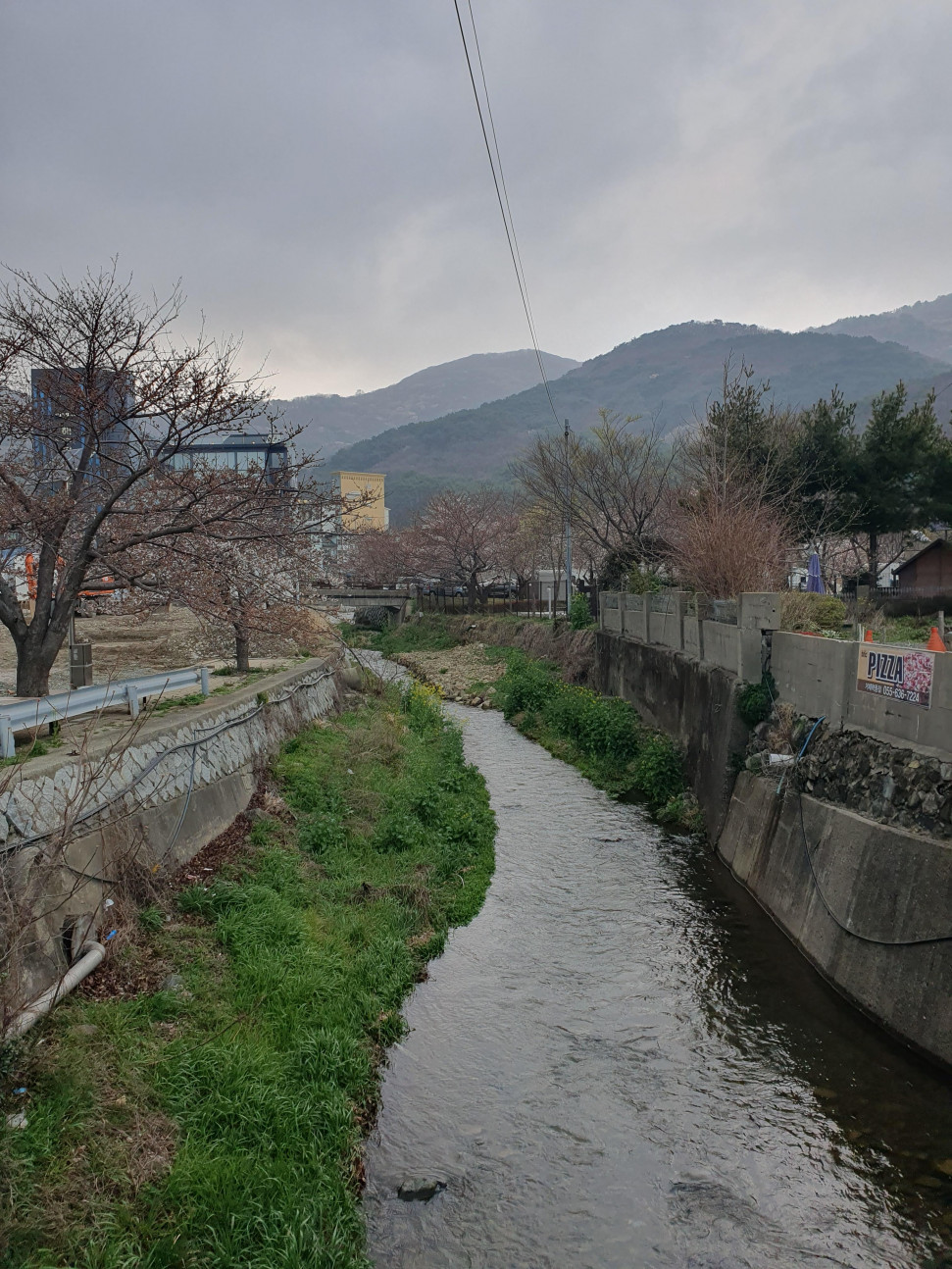 20240329_172933.jpg : 어제 거제도 다녀옴 20240329_172933.jpg : 어제 거제도 다녀옴