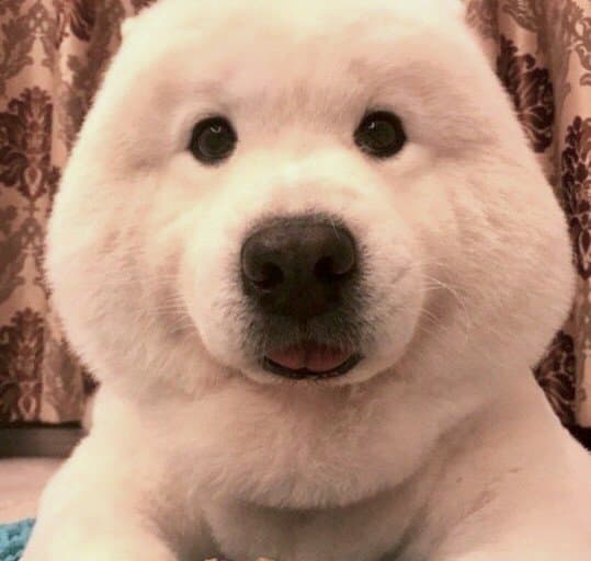 1716219254.jpg : 면접탈락했으면좋겠다 1716219254.jpg : 면접탈락했으면좋겠다
