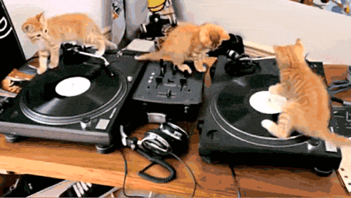 1575749505.gif : 디제이네흥이 1575749505.gif : 디제이네흥이