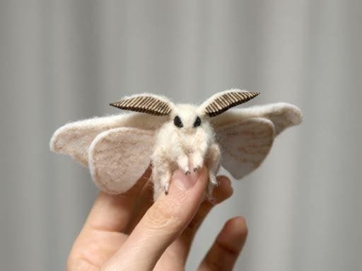 1623725819.jpg : 뭐하고 놀까요? 1623725819.jpg : 뭐하고 놀까요?