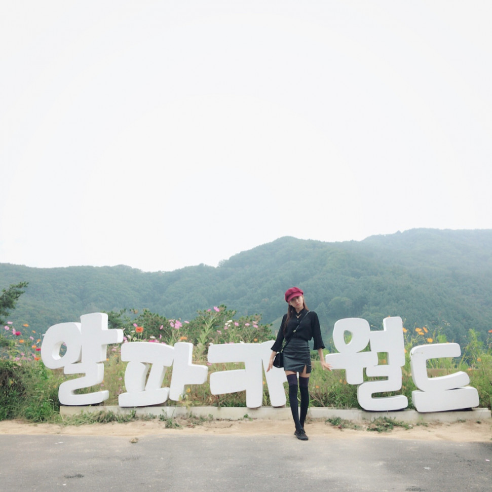 6DFE0D19-3146-4FE9-B828-D74B606150D7.jpeg : 한국에 이런게 있네 6DFE0D19-3146-4FE9-B828-D74B606150D7.jpeg : 한국에 이런게 있네