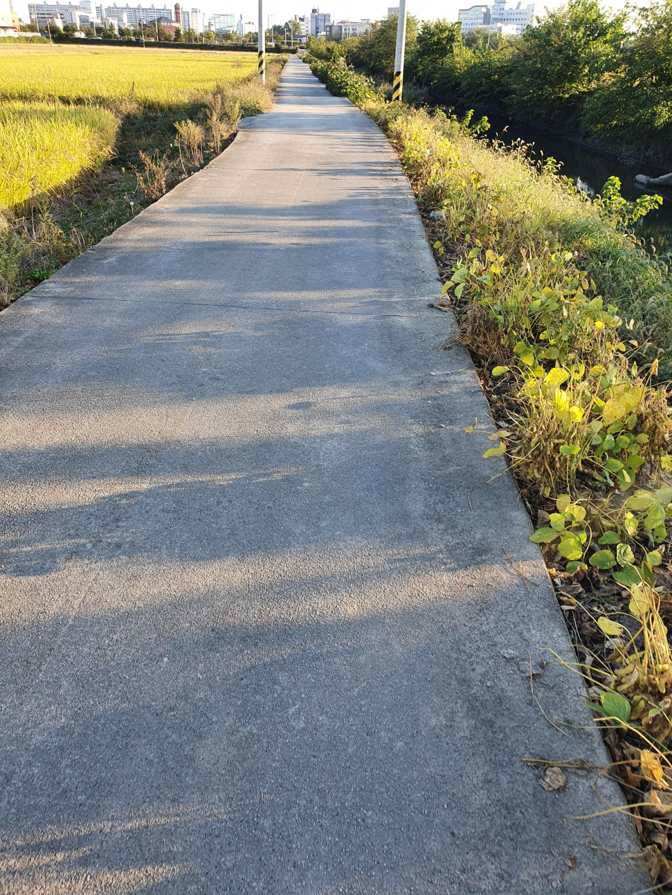 20221013_165920.jpg : 네코자라시 네코자라시 20221013_165920.jpg : 네코자라시 네코자라시