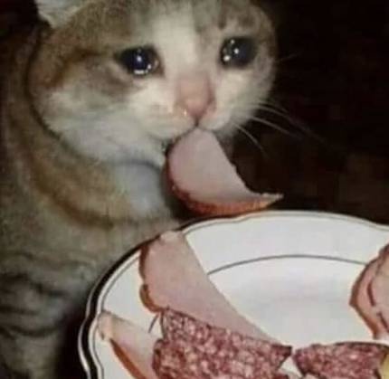 1542618273515.jpg : 야옹 1542618273515.jpg : 야옹
