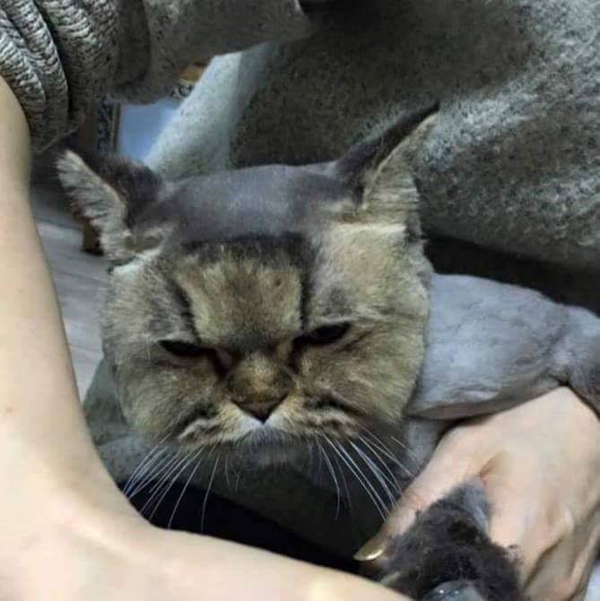 1565593696960-1.jpg : ㅋㅋㅋㅋ 1565593696960-1.jpg : ㅋㅋㅋㅋ