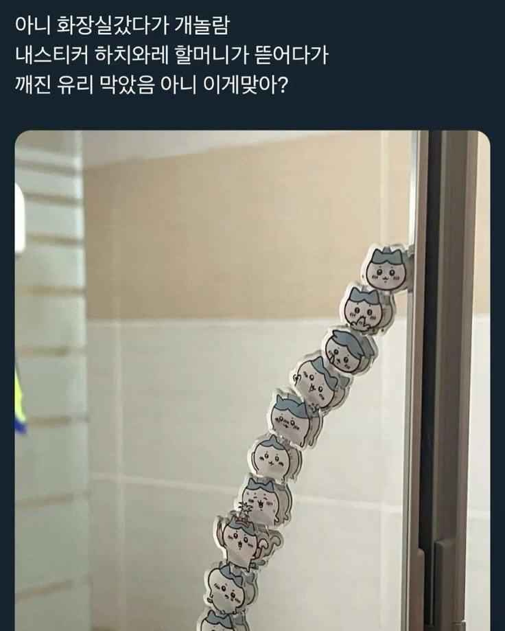IMG_20250513_183521_885.jpg : 일각 치이카와는 어느 에피소드에 나오나