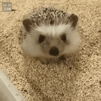 c06bb85a5cd412df22b5943e04cdd2d4.gif : 나는 네오가 좋다 c06bb85a5cd412df22b5943e04cdd2d4.gif : 나는 네오가 좋다
