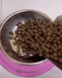 72f4ac959a52a50f796ea7eb6096beb2.gif : 내 초딩시절때랑 지금 초딩들이랑 차이점을 발견했다!!! 72f4ac959a52a50f796ea7eb6096beb2.gif : 내 초딩시절때랑 지금 초딩들이랑 차이점을 발견했다!!!