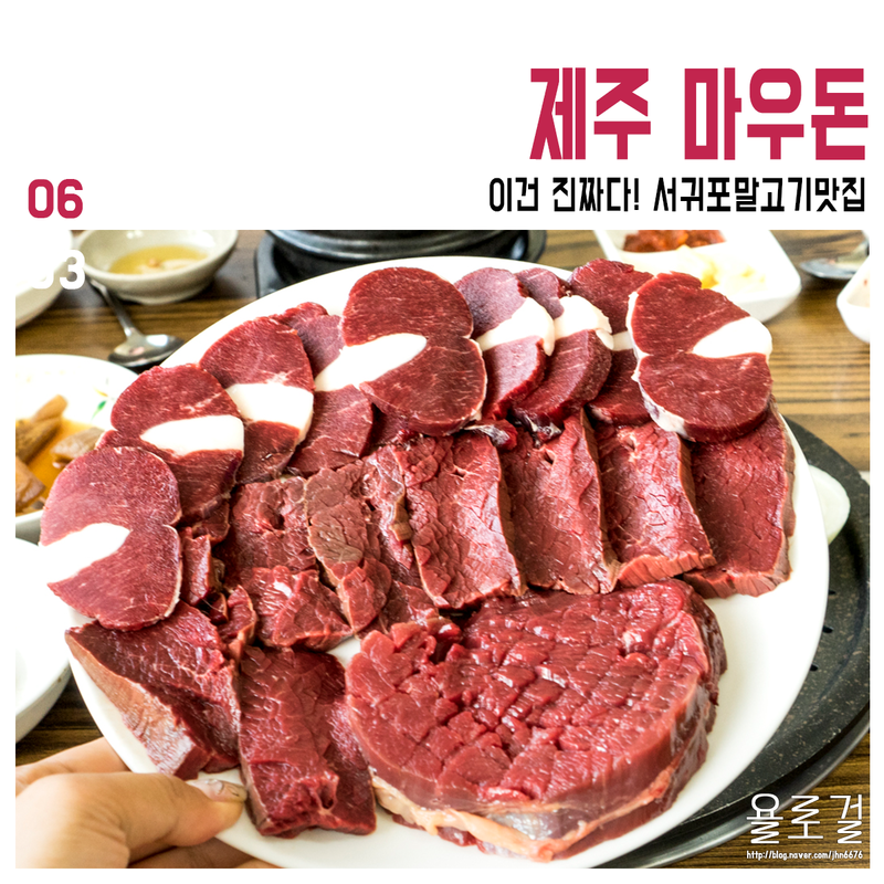 제주-마우돈.png : 하하하 제주-마우돈.png : 하하하