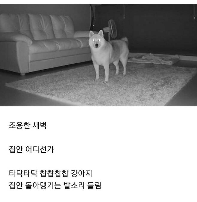 1671309818145.png : 네흥이들 마크 왜 안 하냐고@@ 1671309818145.png : 네흥이들 마크 왜 안 하냐고@@