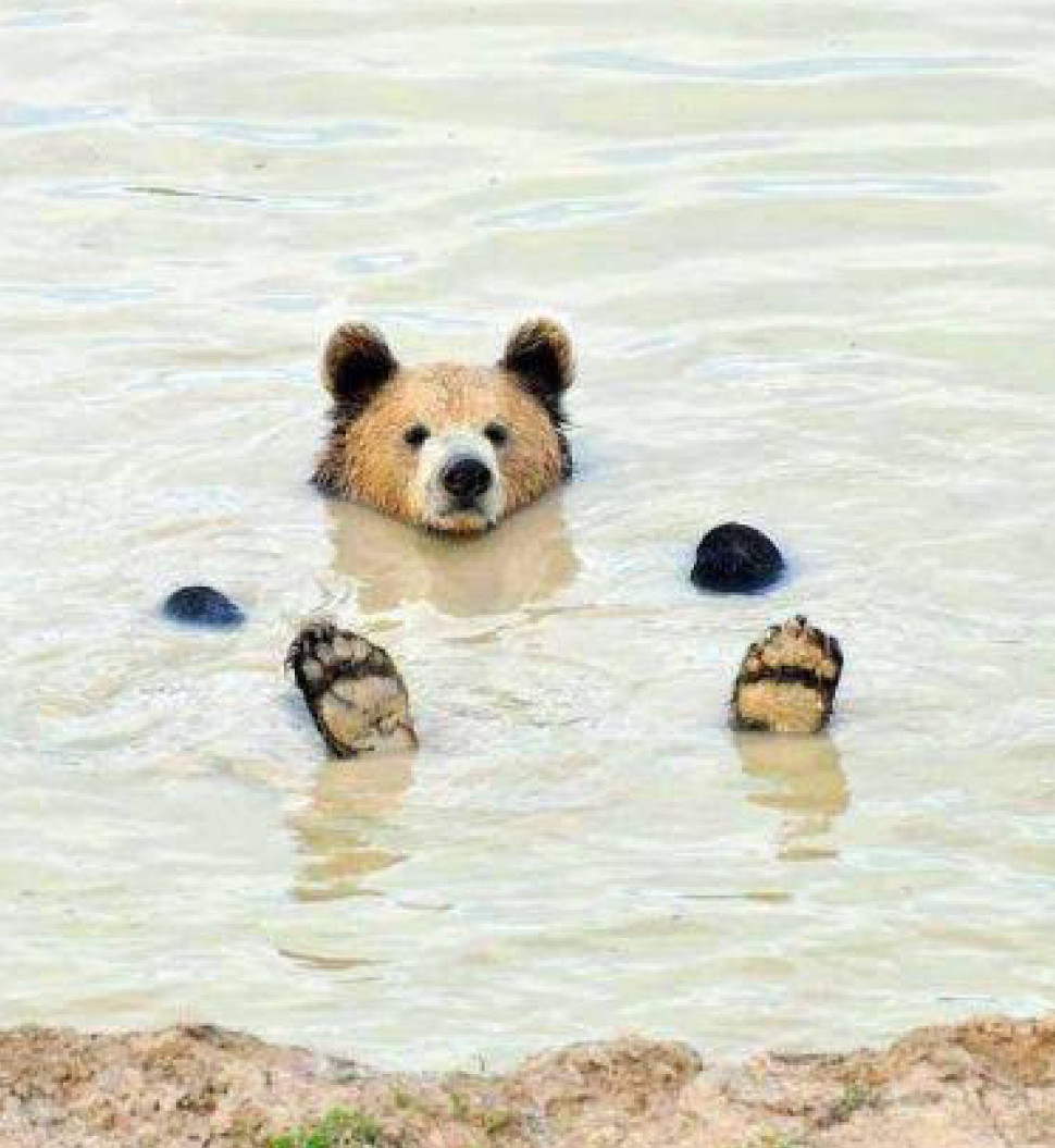 20220701_110058.jpg : 네흥 곰돌이 20220701_110058.jpg : 네흥 곰돌이