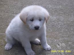 images (2).jpeg : 네오 연령대가 생각보다 낮은가 보네 images (2).jpeg : 네오 연령대가 생각보다 낮은가 보네
