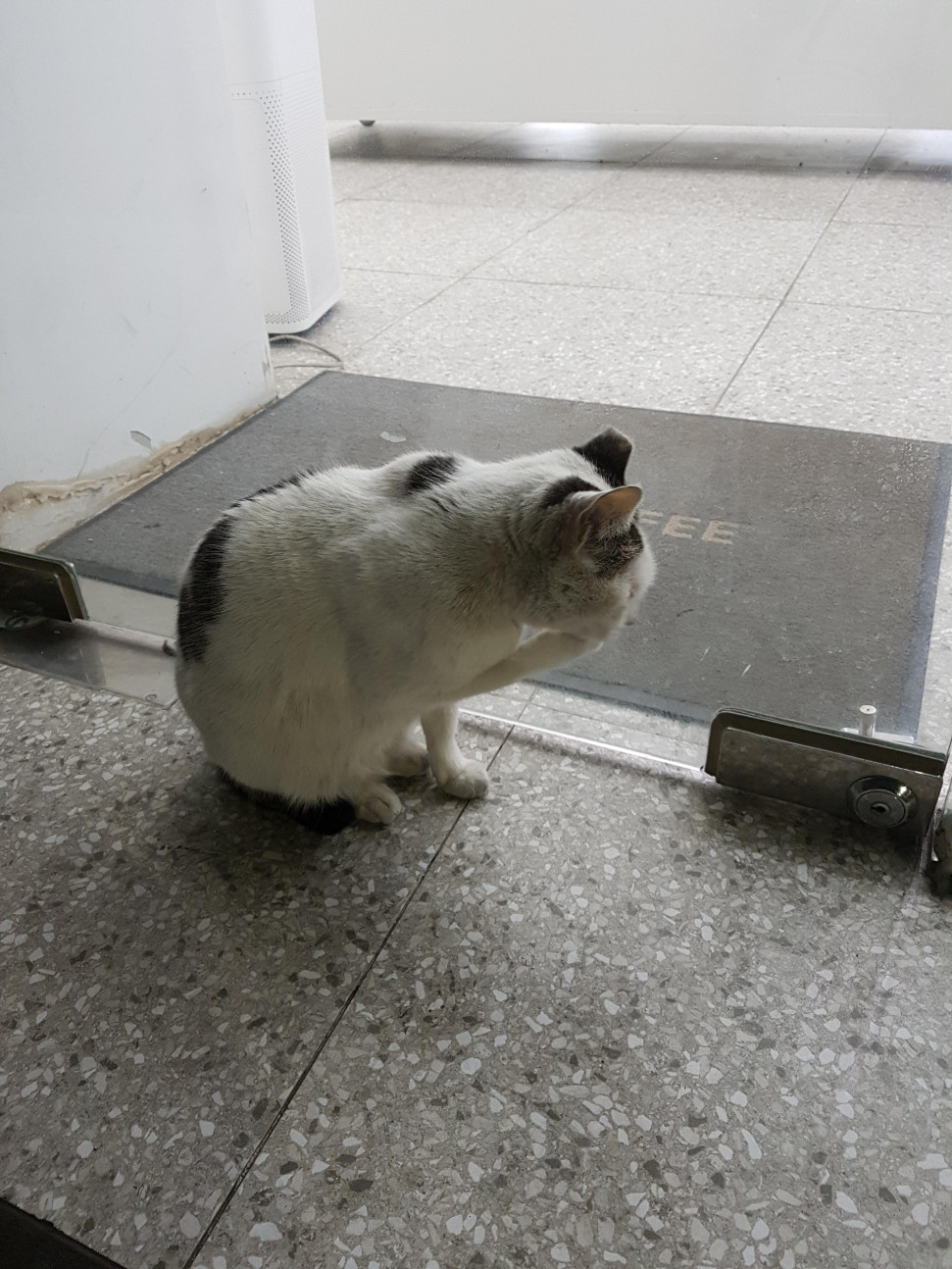 20190302_222633.jpg : 부산 갔을 때 찍은 사진 20190302_222633.jpg : 부산 갔을 때 찍은 사진