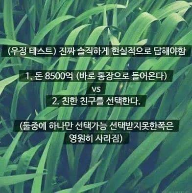 B7F76667-9165-4E93-BB62-6371442E0B37.jpeg : 닥후 B7F76667-9165-4E93-BB62-6371442E0B37.jpeg : 닥후
