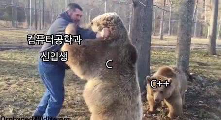 62468299_1004586419750036_8792229544506425344_n.jpg : 이공계 신입생 62468299_1004586419750036_8792229544506425344_n.jpg : 이공계 신입생