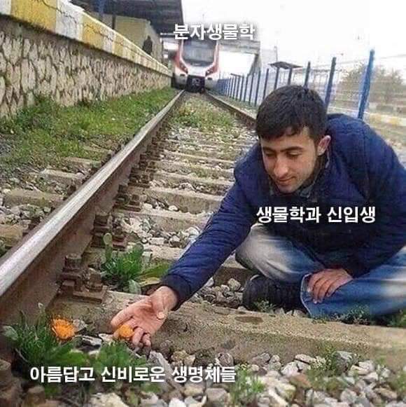 61970589_1004586426416702_8753068251744829440_n.jpg : 이공계 신입생 61970589_1004586426416702_8753068251744829440_n.jpg : 이공계 신입생