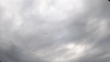 173b4ab1b5851a42.gif : 네붕이 힘 빠지는 짤 173b4ab1b5851a42.gif : 네붕이 힘 빠지는 짤