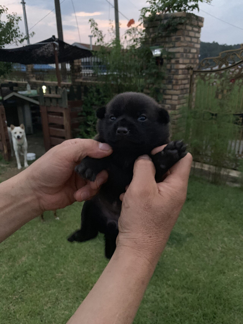 1574098315.jpeg : 아 짭딸한 거 먹고십다 1574098315.jpeg : 아 짭딸한 거 먹고십다
