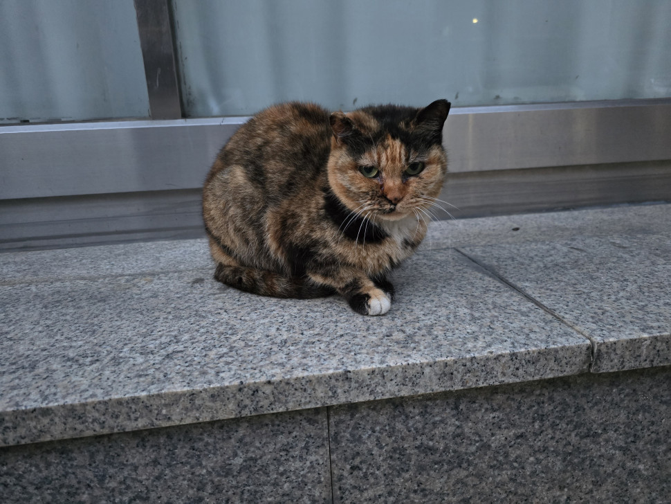 20250511_194121.jpg : 자러감 20250511_194121.jpg : 자러감