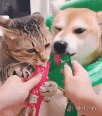 1577507210.gif : 개정색 1577507210.gif : 개정색
