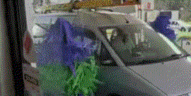 1555114794.gif : 비좀 왔으면 좋겠다 1555114794.gif : 비좀 왔으면 좋겠다