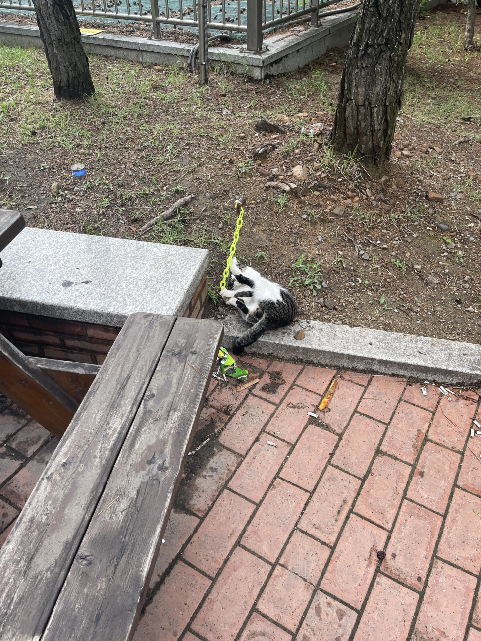 IMG_6730.jpeg : 애니플러스 굿즈사러 가고있어요 IMG_6730.jpeg : 애니플러스 굿즈사러 가고있어요