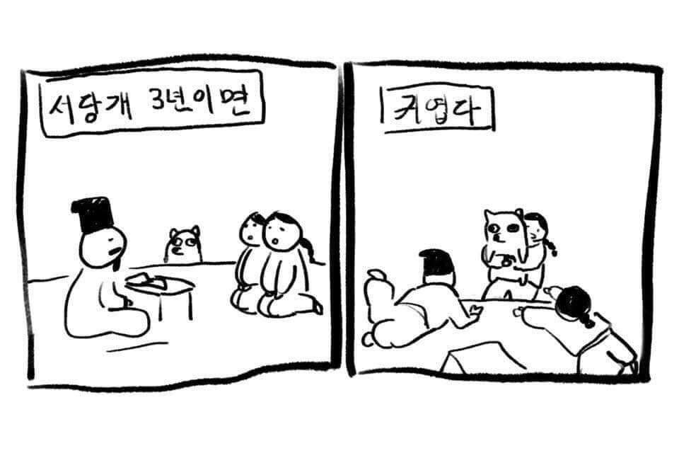 56281648_2042807459346403_4707888552803827712_n.jpg : 아 기분안좋다 56281648_2042807459346403_4707888552803827712_n.jpg : 아 기분안좋다