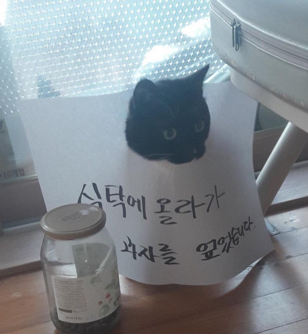 Internet_20200930_153757_1.jpeg : 5시간 운전한 네흥이다