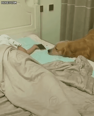 1577233585.gif : 기분나빠서 잤다 1577233585.gif : 기분나빠서 잤다