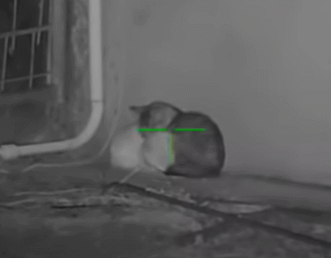 1684347921.gif : 잘잤다 1684347921.gif : 잘잤다