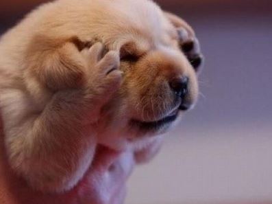 175d4a2c8aa51378d.jpg : 가네모찌들은 해외여행도 많이 가뵜겠지? 175d4a2c8aa51378d.jpg : 가네모찌들은 해외여행도 많이 가뵜겠지?