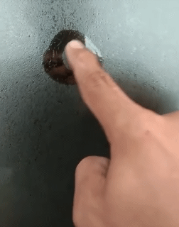 1650053700.gif : 창작을 위한 아이디어는 넘쳐나는데 1650053700.gif : 창작을 위한 아이디어는 넘쳐나는데