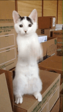 1575601006.gif : 아 기분 안 좋다 1575601006.gif : 아 기분 안 좋다