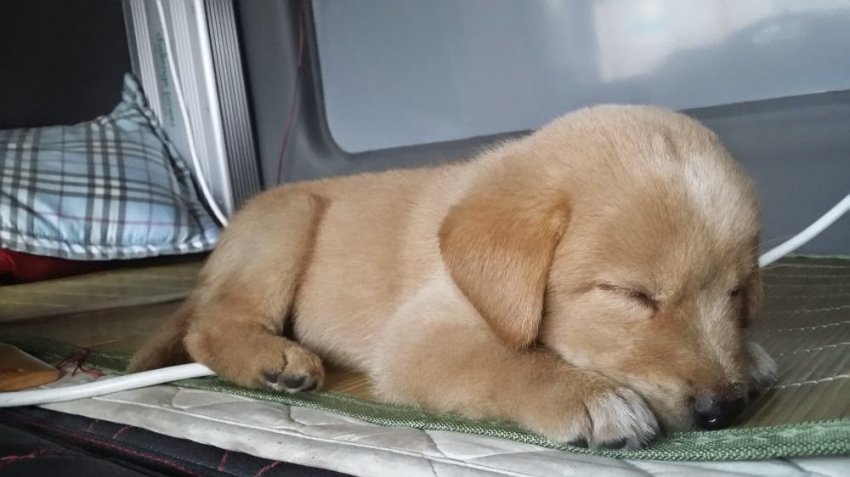 1580356750.jpeg : 아 면역력 넘 약해졌어 1580356750.jpeg : 아 면역력 넘 약해졌어