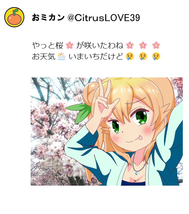 GKPWlHuawAAnTdL.jpeg : 여친이랑 벚꽃 보러옴 GKPWlHuawAAnTdL.jpeg : 여친이랑 벚꽃 보러옴