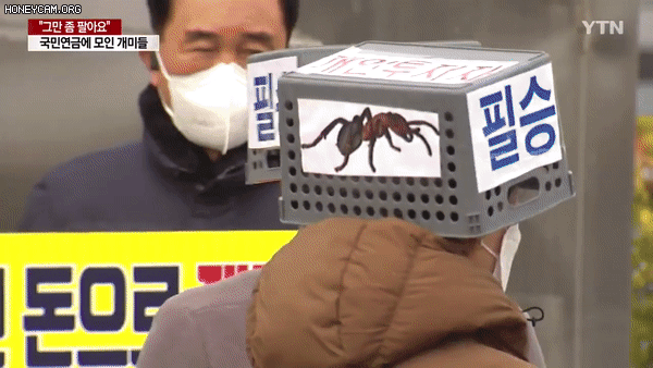 1657024034506.gif : 개미의 눈물 1657024034506.gif : 개미의 눈물