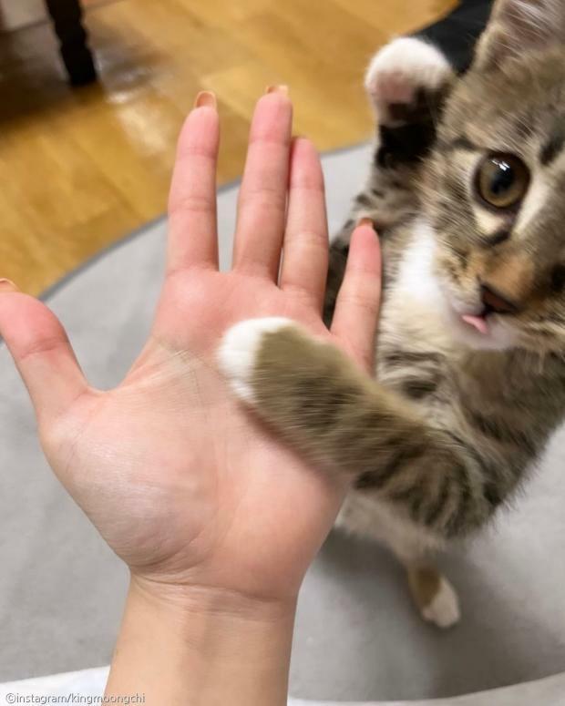 1671539247813.jpg : 아빠 폰 두고가셨는데 전화 엄청온다 1671539247813.jpg : 아빠 폰 두고가셨는데 전화 엄청온다