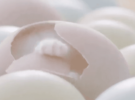 16b68fa0f1c2d0586.gif : 네흥 기상!!!! 16b68fa0f1c2d0586.gif : 네흥 기상!!!!