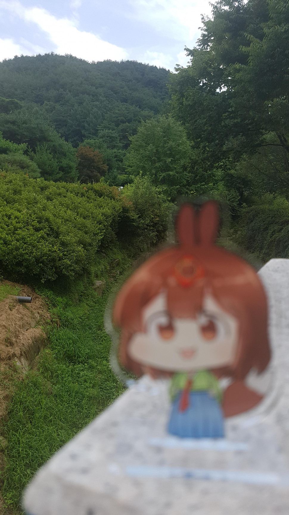 20190809_144959.jpg : 네흥신 마구마구 찍는다 20190809_144959.jpg : 네흥신 마구마구 찍는다