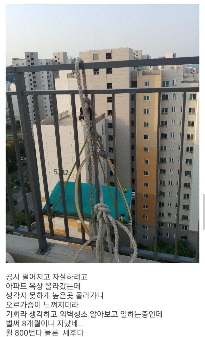 61978813_395311287747785_6067087913479307264_o.jpg : 자살하러 옥상에 올라간 공시생 61978813_395311287747785_6067087913479307264_o.jpg : 자살하러 옥상에 올라간 공시생